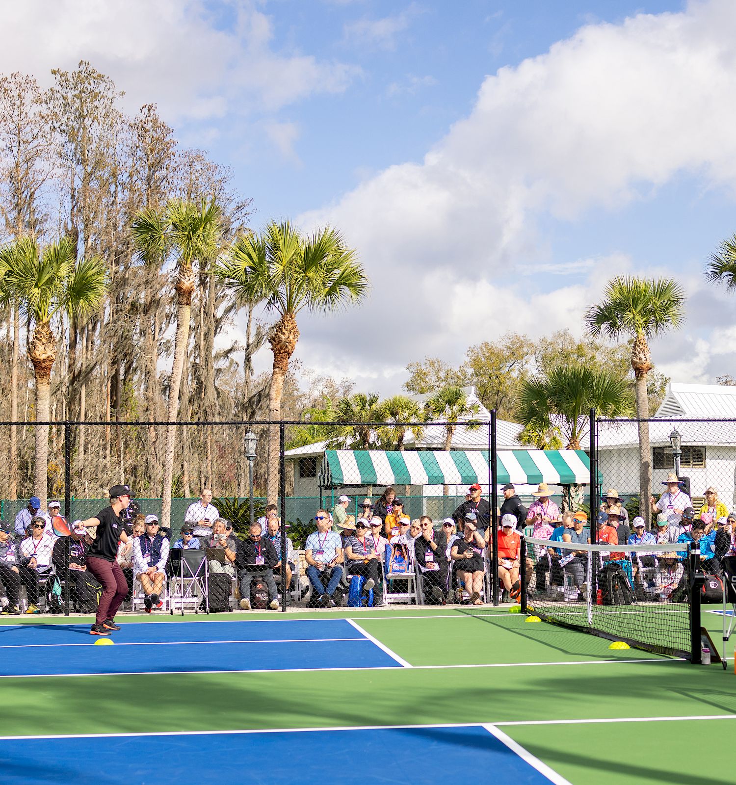 People are playing pickleball on an outdoor court surrounded by spectators, palm trees, and a building with a striped awning in the background.