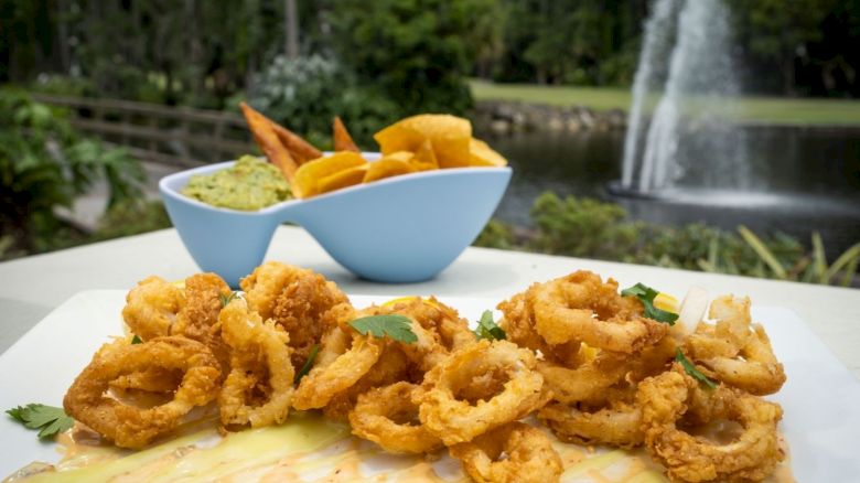 The image shows fried calamari on a plate with garnishing. In the background is a bowl with dips and fries, set in a scenic outdoor setting.