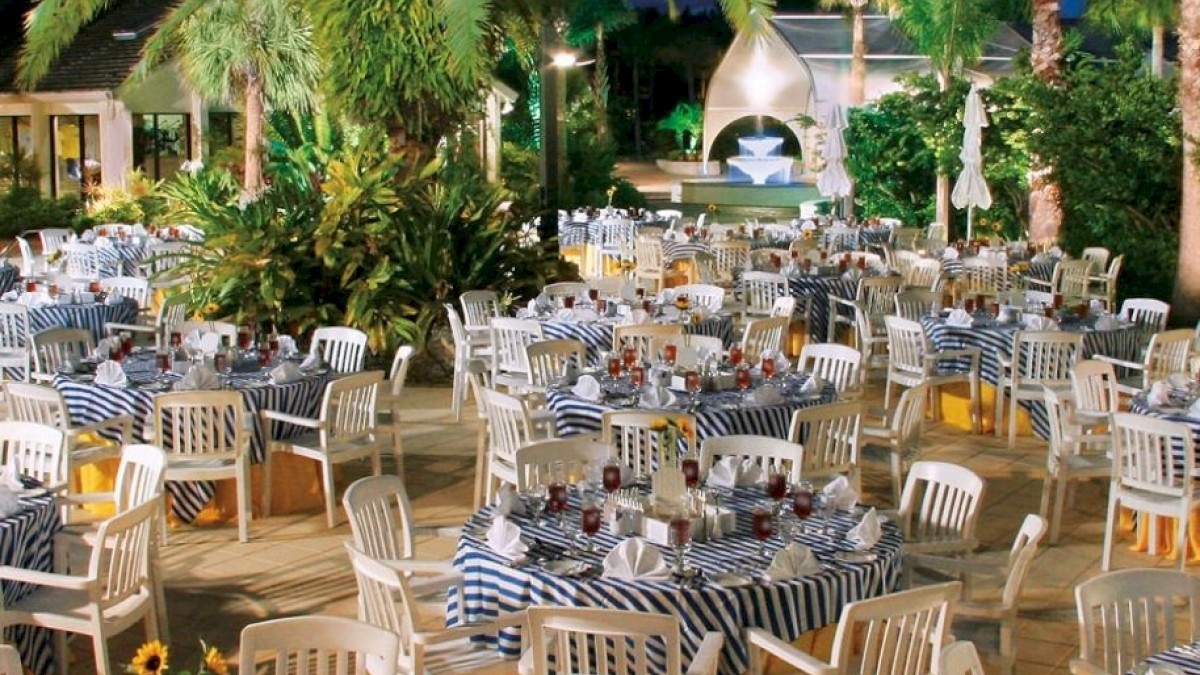 Outdoor dining area with striped tablecloths and plastic chairs under palm trees at night, with a white structure in the background.