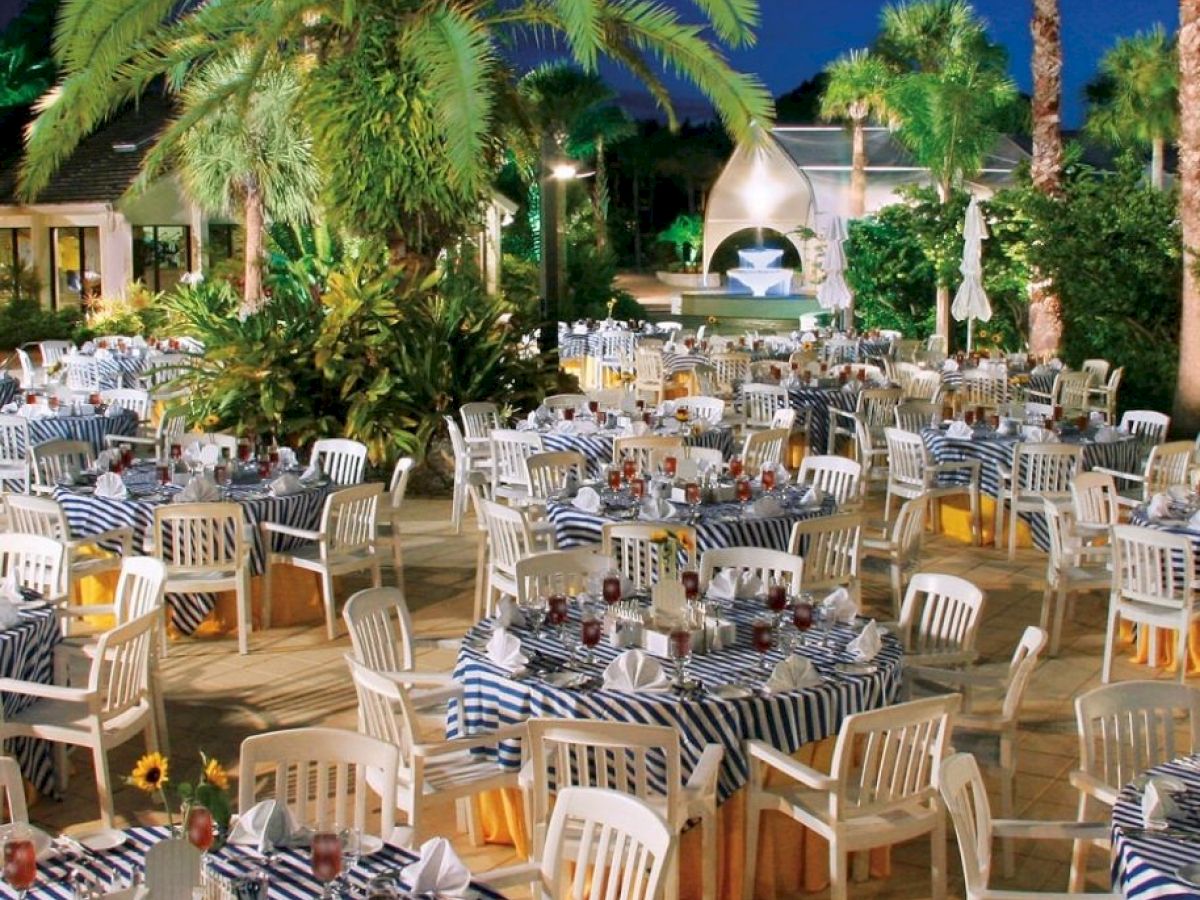Outdoor dining area with striped tablecloths and plastic chairs under palm trees at night, with a white structure in the background.