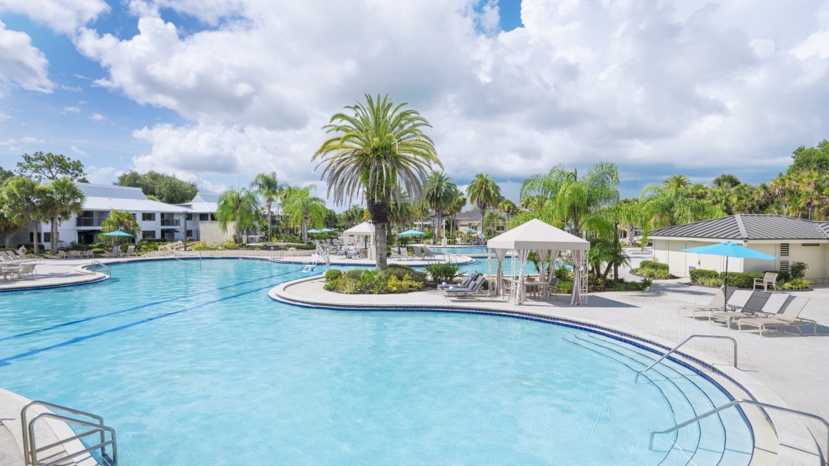 The image shows a large, curving swimming pool with lounge chairs, a palm tree, and a cabana, set in a resort-like environment.