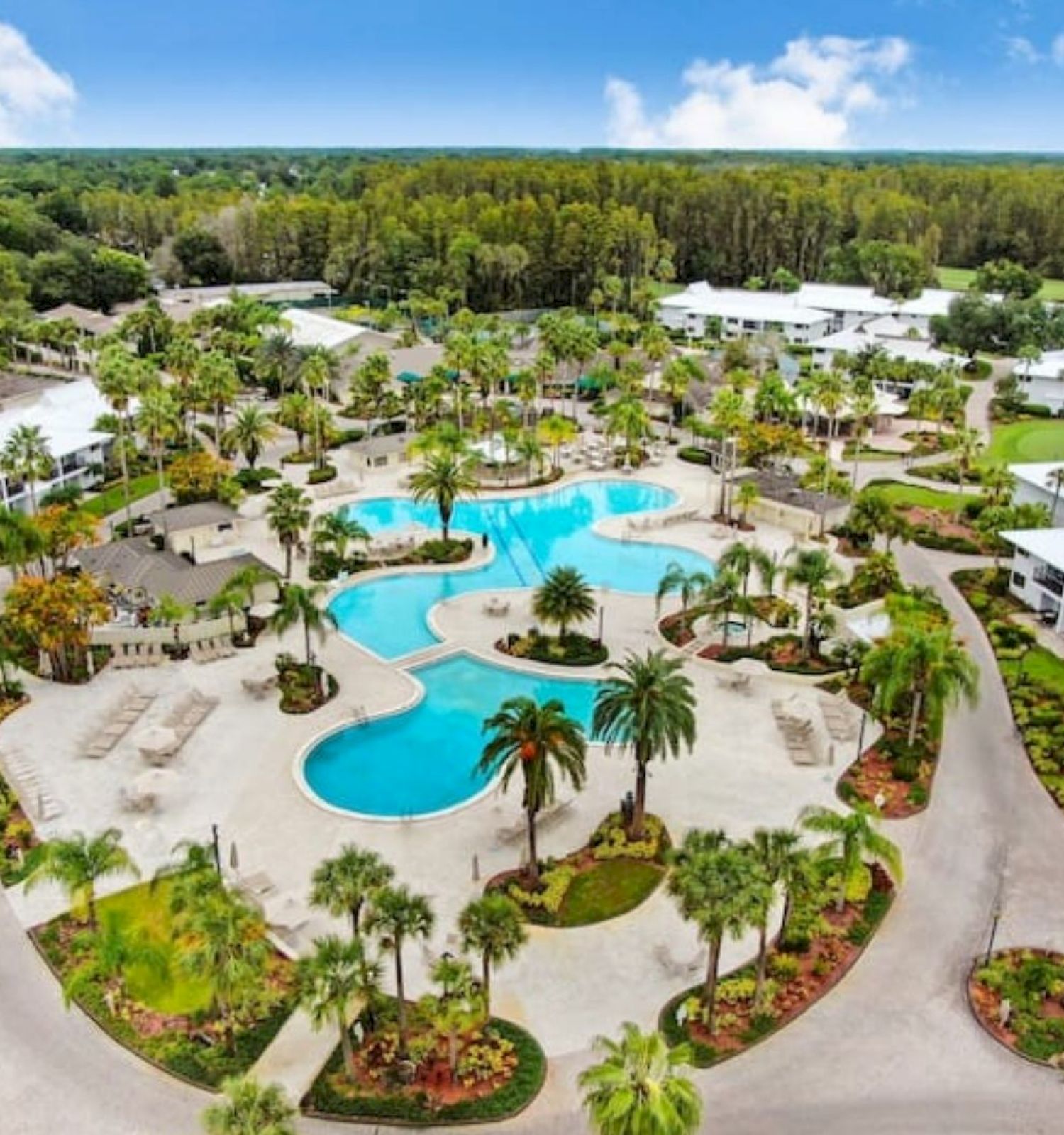 An aerial view of a resort with a large pool, surrounded by palm trees, pathways, and buildings, all set against a forested background.