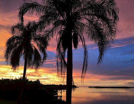 The image shows a scenic view of palm trees silhouetted against a colorful sunset over a calm body of water, creating a serene atmosphere.