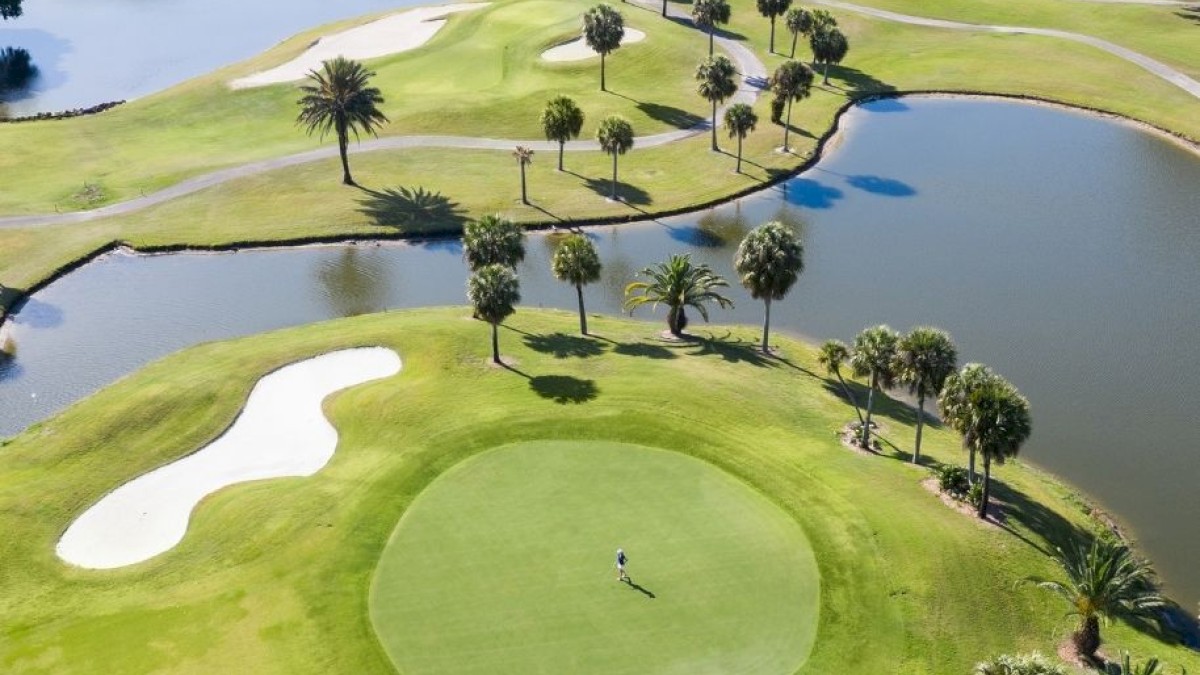 An aerial view of a golf course featuring sand traps, a putting green, water hazards, palm trees, and surrounding houses and trees in the background.