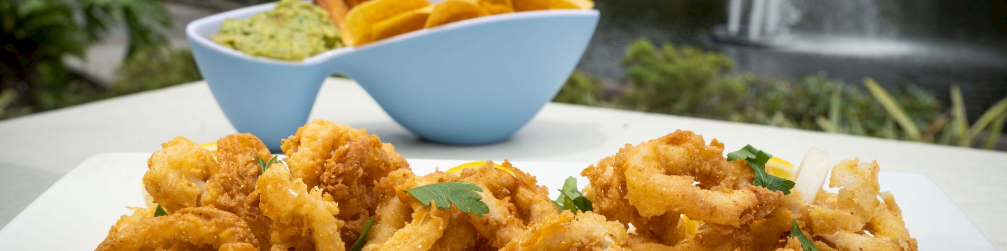 The image shows a plate of fried calamari garnished with herbs, accompanied by a bowl of chips and a green dip, near an outdoor water fountain.