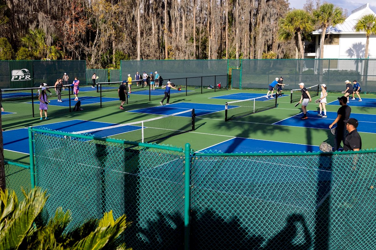 People are playing pickleball on multiple courts surrounded by a green fence and trees. The weather appears to be sunny.