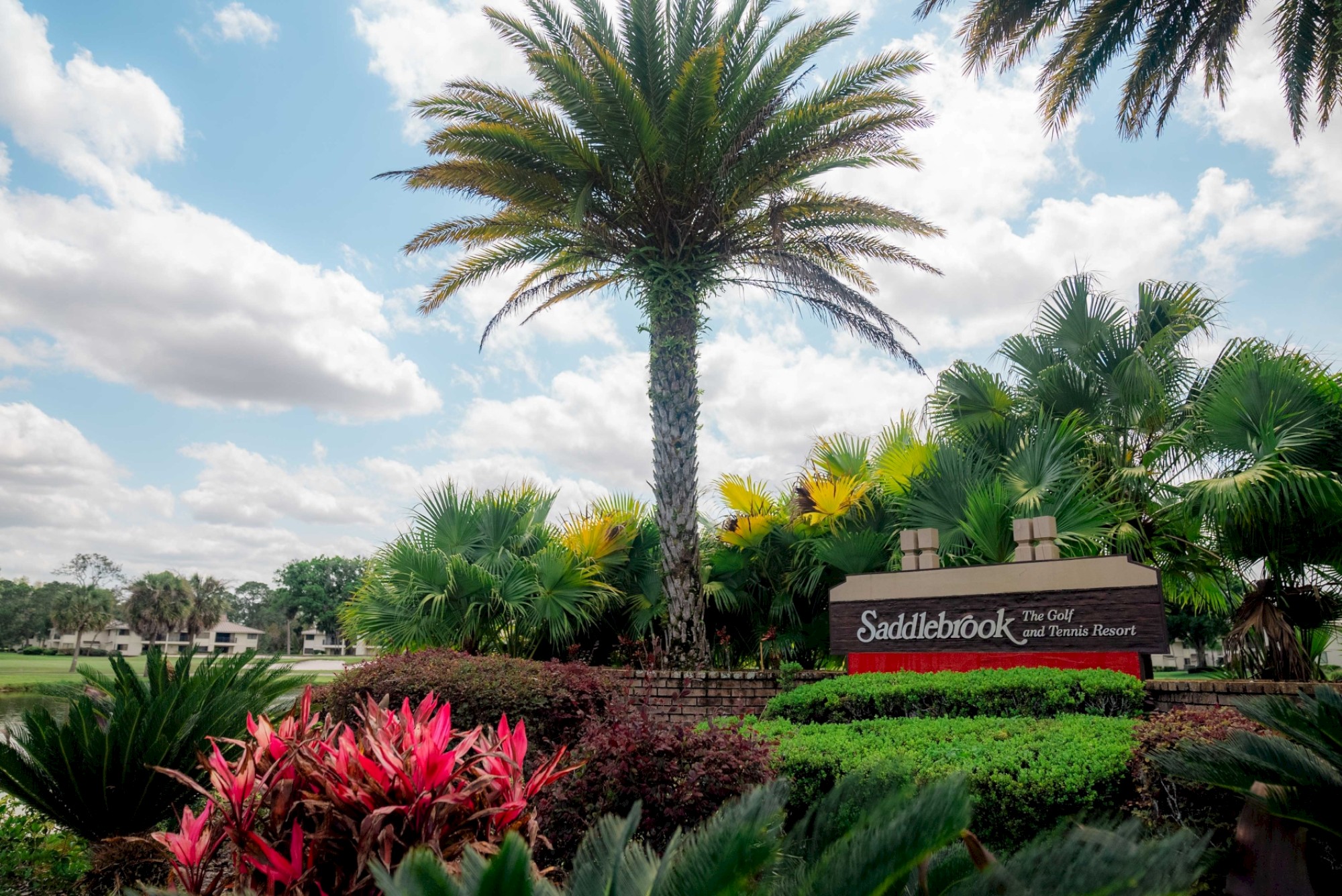 The image shows a tropical resort entrance sign with palm trees, vibrant plants, and clear skies in the background. The sign reads 