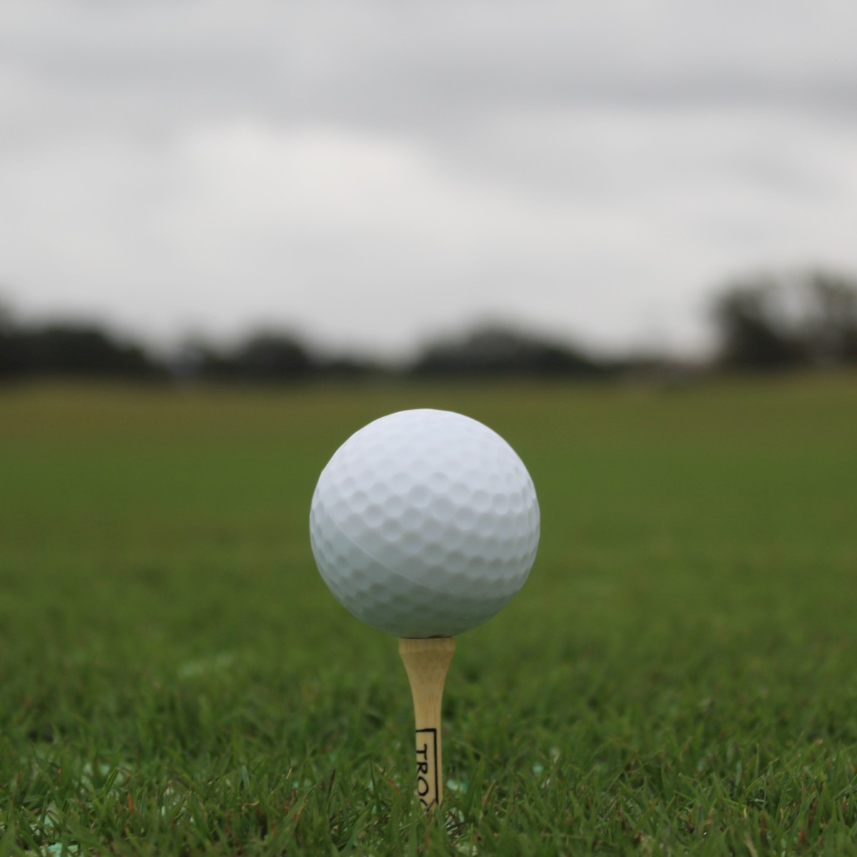 A golf ball is placed on a tee on a green field, under a cloudy sky, ready for a shot.