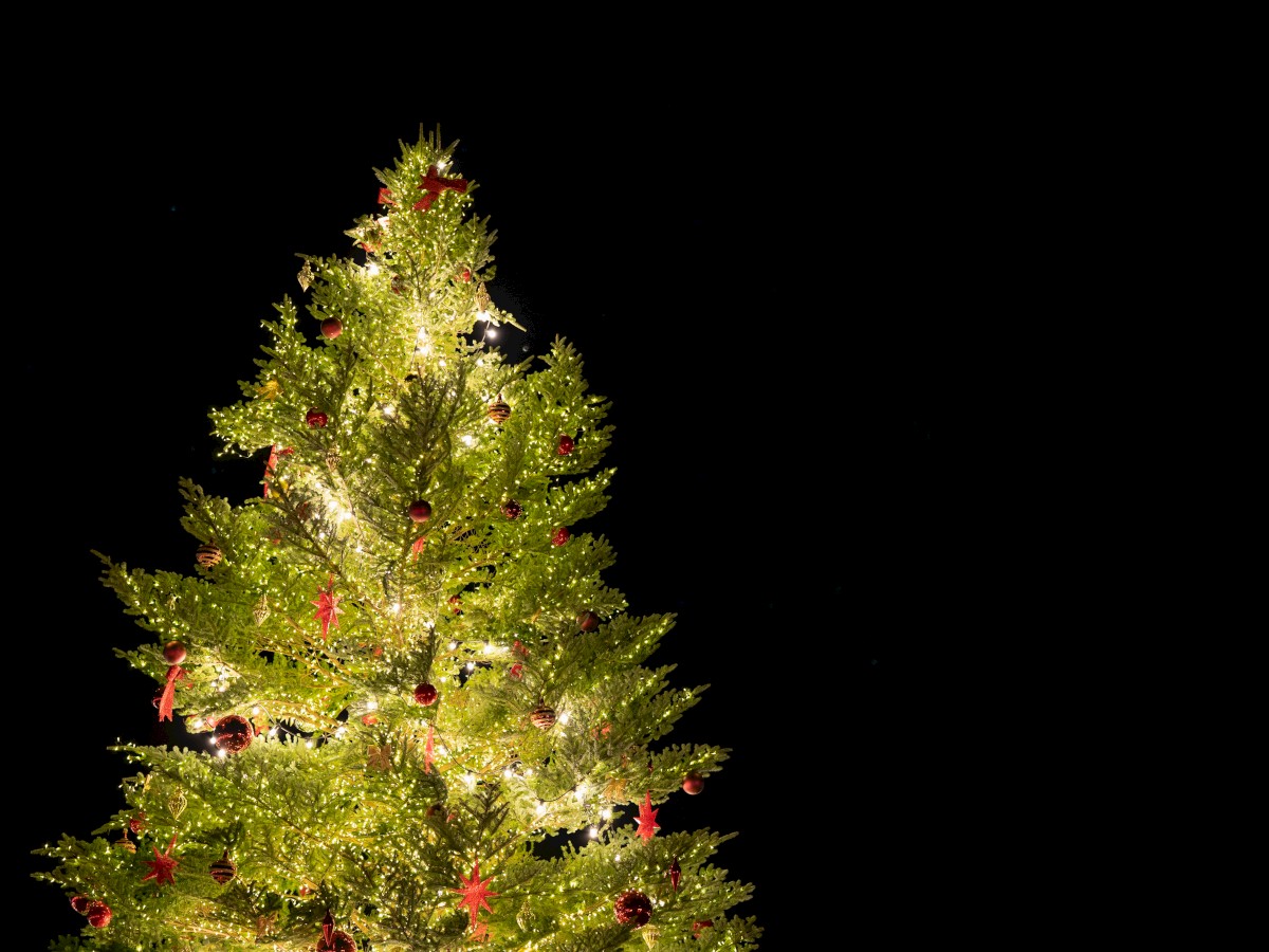 A decorated Christmas tree with lights and ornaments set against a black background.