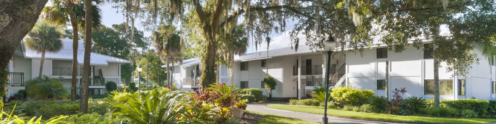 A serene scene with a curved pathway, lush greenery, and white buildings under a large tree with Spanish moss hanging down.