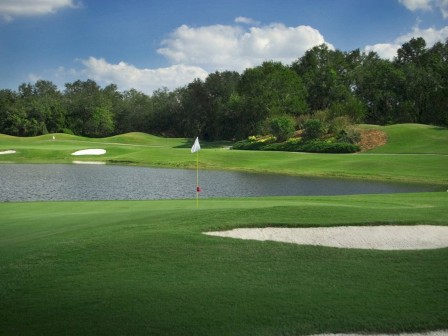 Saddlebrook Resort